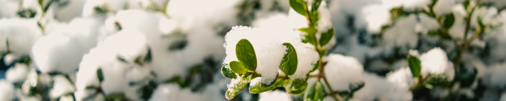 How To Measure Snow With Your Rain Gauge